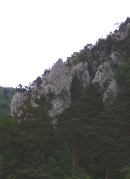 TeaserBubikopf
