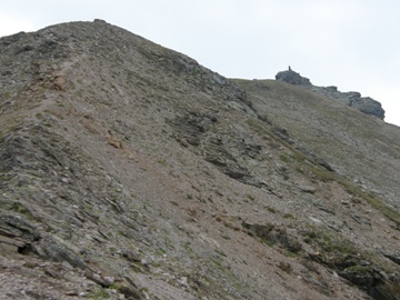 lplihorn
