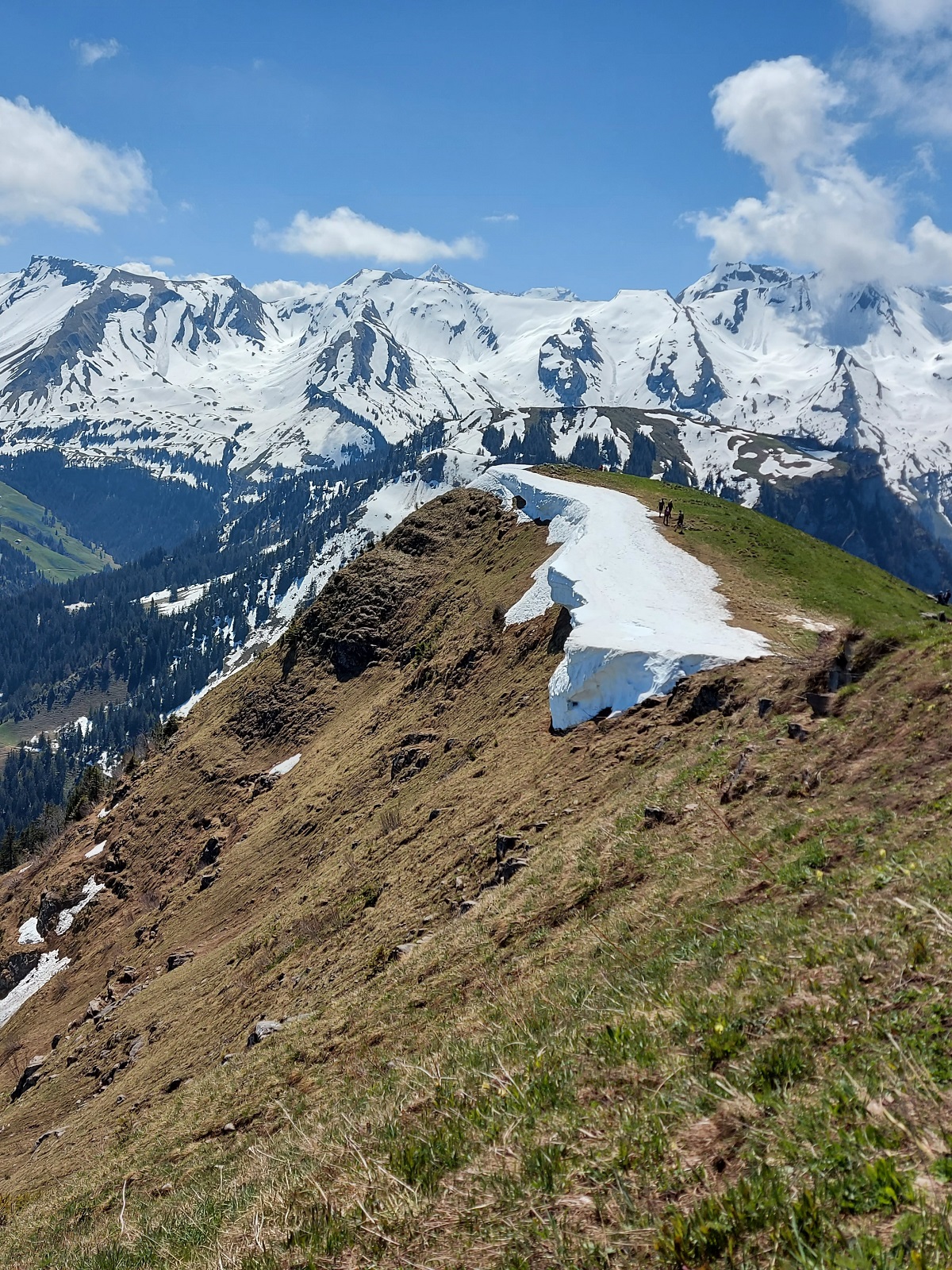 Buochserhorn_Waechte